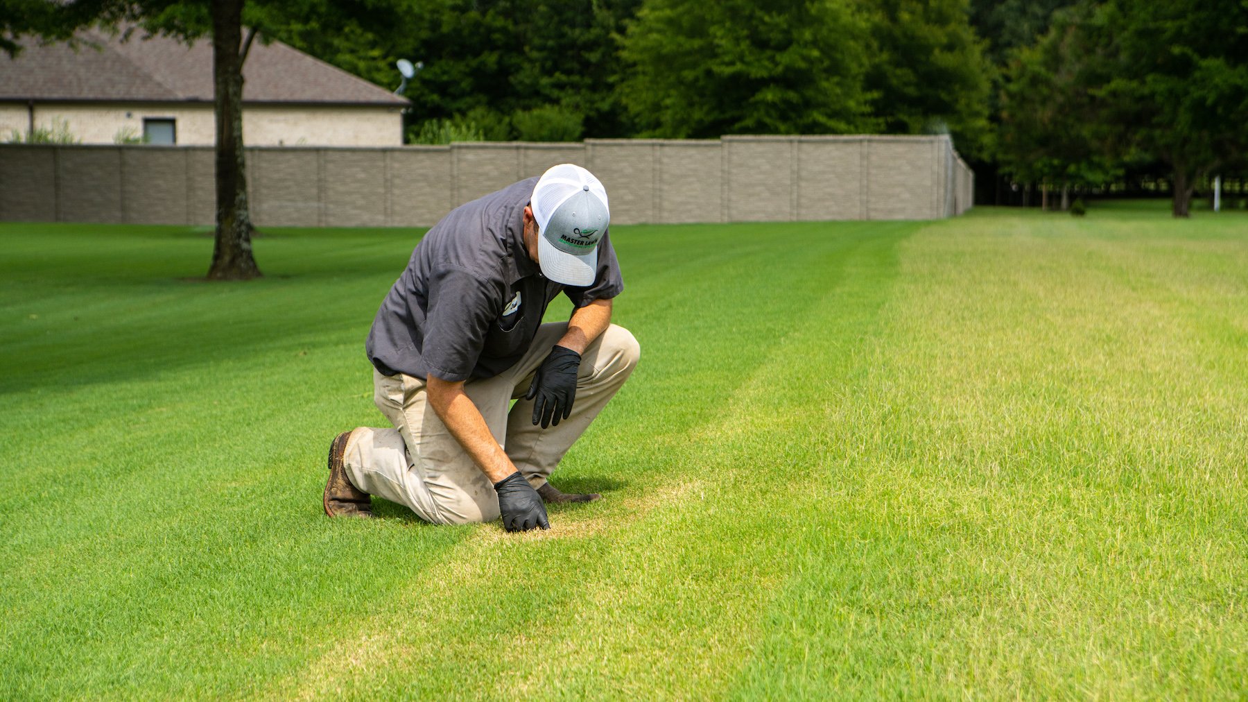 Services of Lawn Care